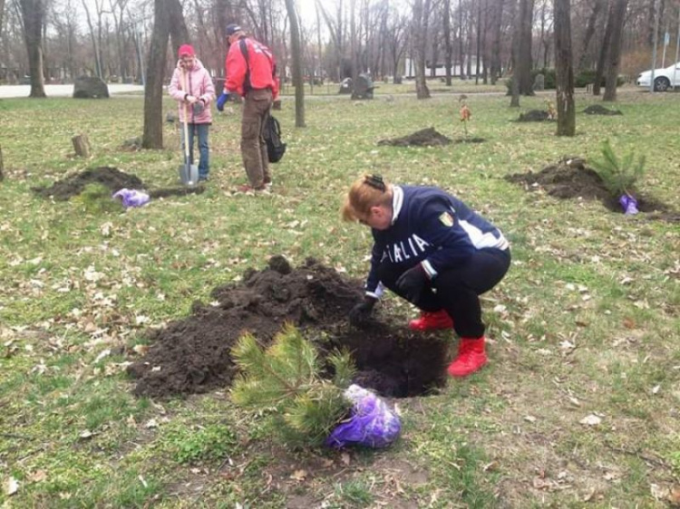 Криворожане высадили 200 кустов живой изгороди в городском парке (фото)