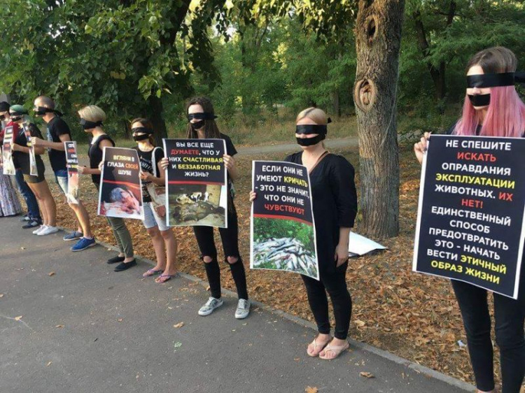 В Кривом Роге зоозащитники провели акцию против эксплуатации зверей (ФОТО)