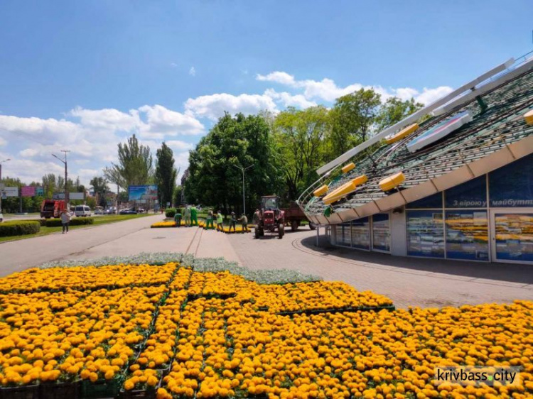 В Кривом Роге после ремонта и с новыми саженцами заработали цветочные часы