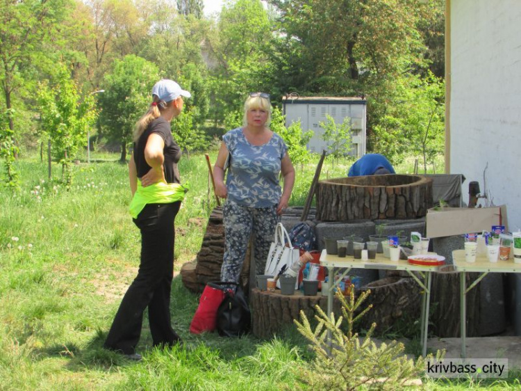 В городском парке Кривого Рога появился огород для всех