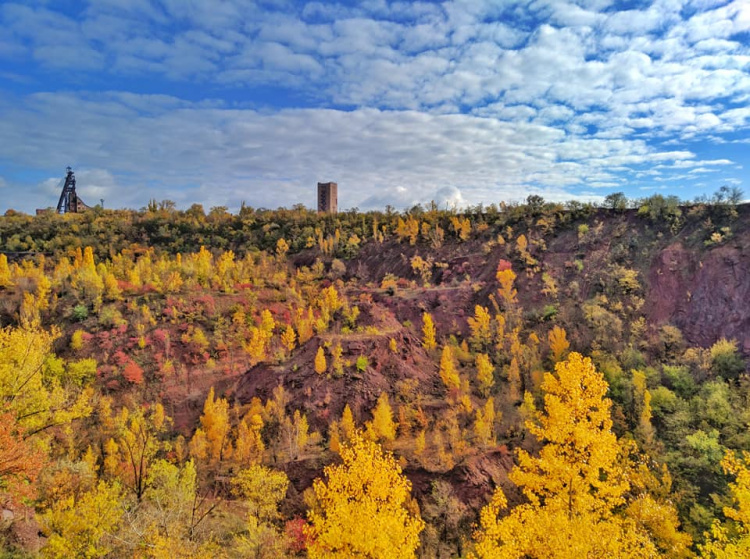 Фото Євгена Дійнеги