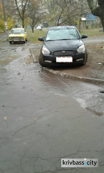 В Кривом Роге по Заречному бежит река из питьевой воды (ФОТОФАКТ)