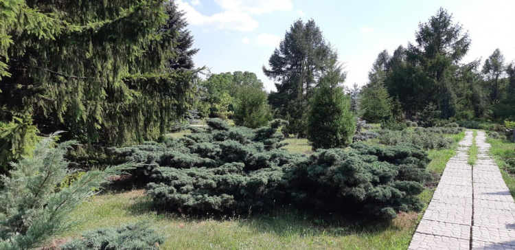 Фото пресслужби компанії Метінвест