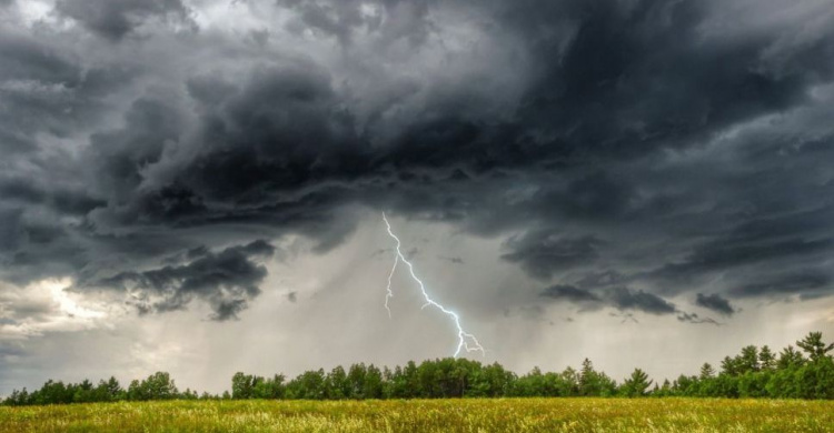 Фото із мережі інтернет