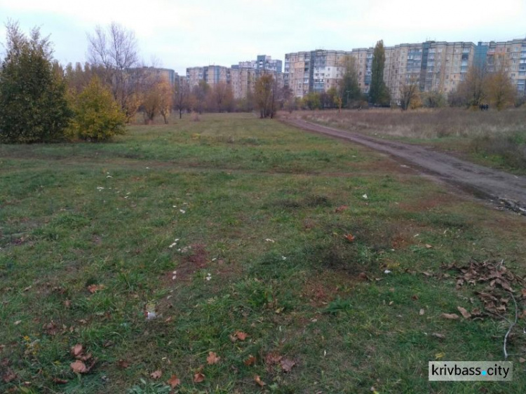 В Кривом Роге планируется благоустройство сквера на Заречном (ФОТО)