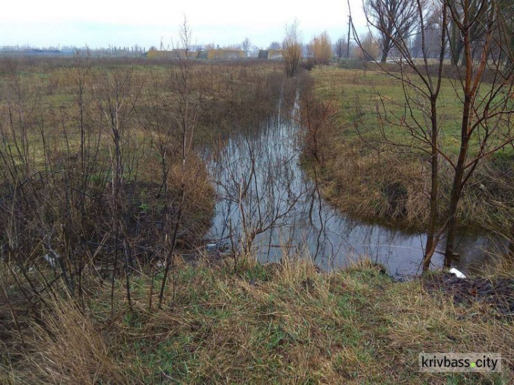 В Криворожском районе подтоплено несколько сел (ФОТО)