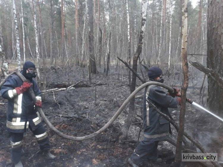 В Кривой Рог на ротацию из Чернобыльской зоны вернулись 16 спасателей