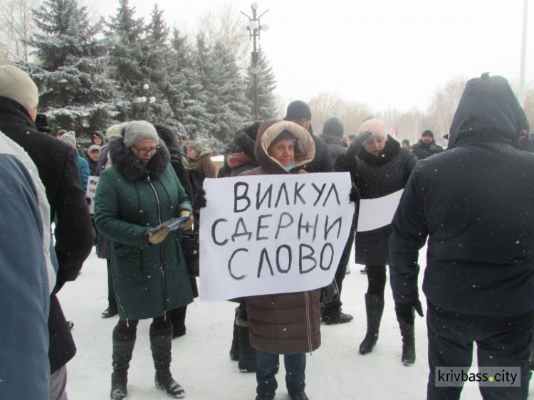 Маршрутки вместо собачьих будок: в Кривом Роге состоялась акция протеста против некачественных перевозок (фото)