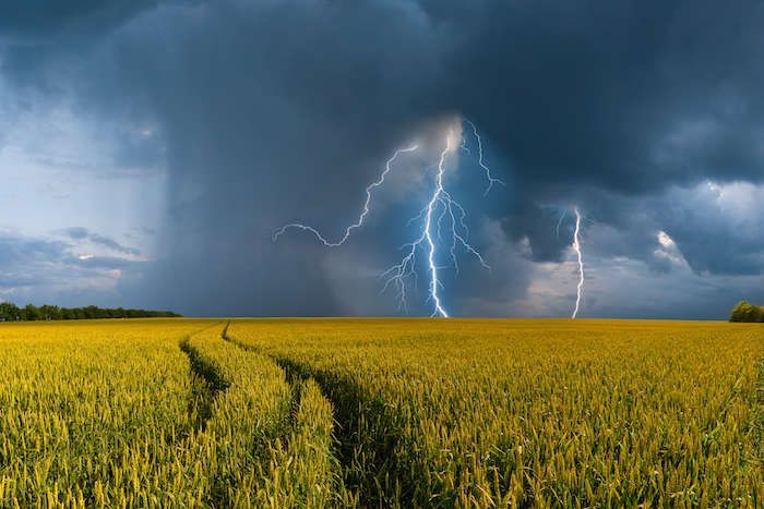 Фото з відкритих джерел