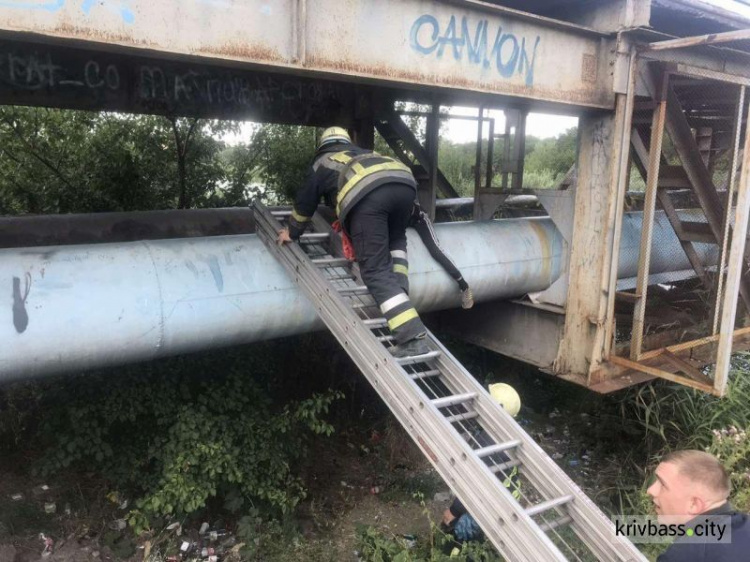 В Саксаганском районе нетрезвый подросток застрял на трубе под мостом