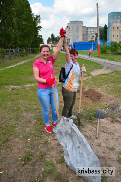 В Кривом Роге одной зеленой аллеей стало больше (фото)