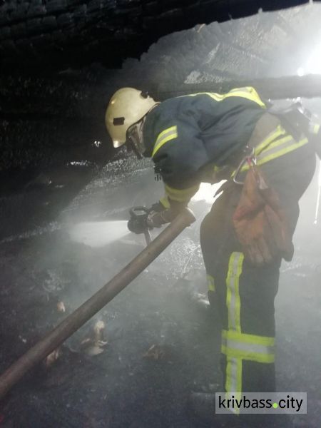 В Кривом Роге во время пожара в частном доме погибла женщина