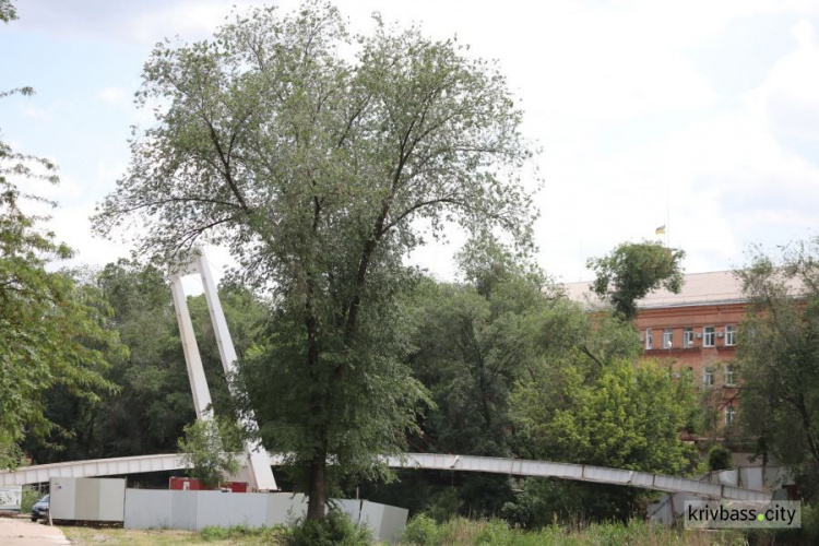 Фото пресслужби виконкому Криворізької міської ради