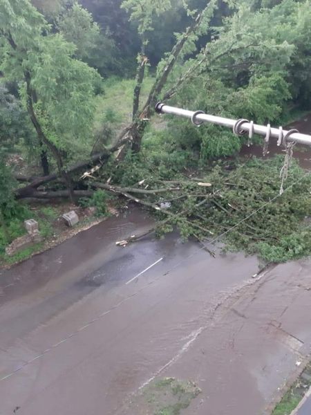 В Кривом Роге бушует стихия: улицы затоплены, деревья повалены (фотофакт)