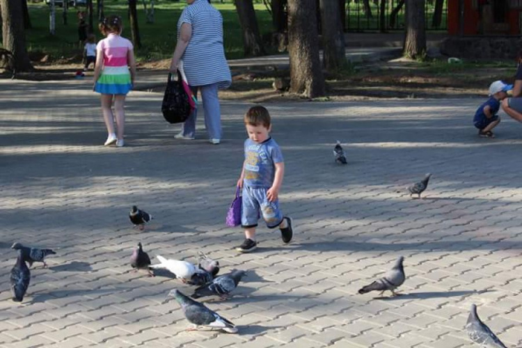 В Криворожском парке "Терновской" продолжается реконструкция (ФОТО)