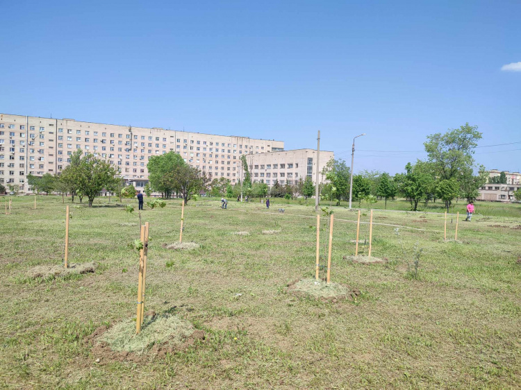 Фото управління екології криворізького міськвиконкому