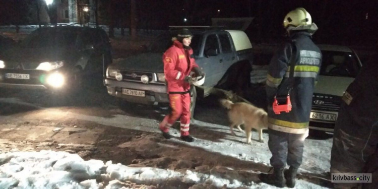 В Кривом Роге обвалилась крыша в бывшем ДК "Коксохимиков" - есть пострадавший (фото) + (видео) + (обновлено)