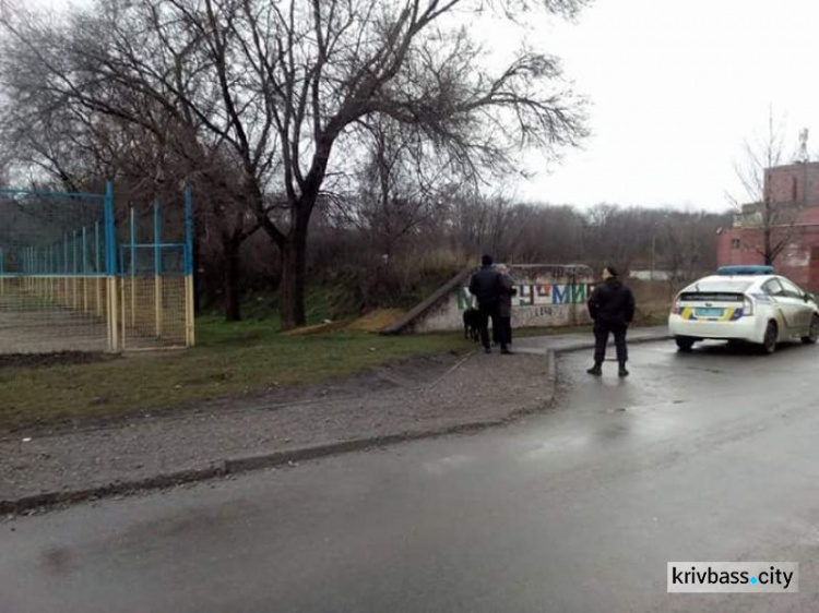 В Кривом Роге бдительными гражданами остановлено хищение ограждения (ФОТО)