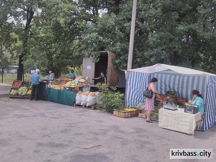 Фрукты, овощи и мед: криворожан приглашают на ярмарку (ФОТО)