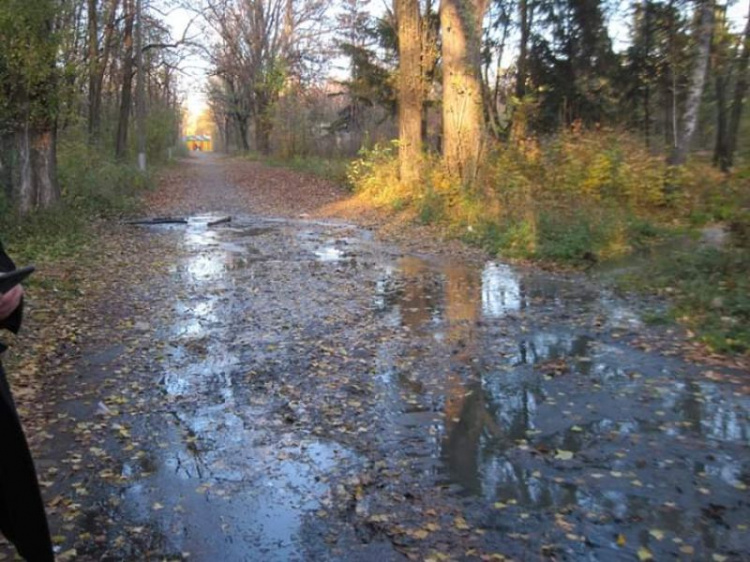 В Кривом Роге провели анализ проб воды, отобранных в водоемах города (фото)