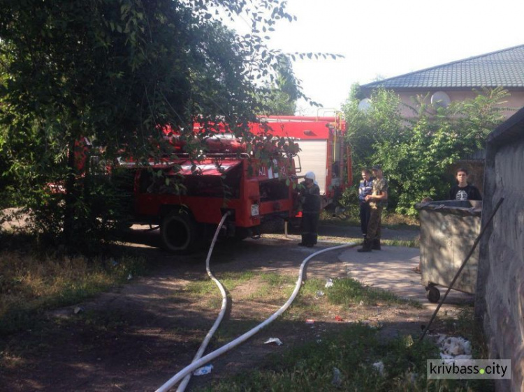 Пожар в Кривом Роге повредил сразу несколько сараев (ФОТО)