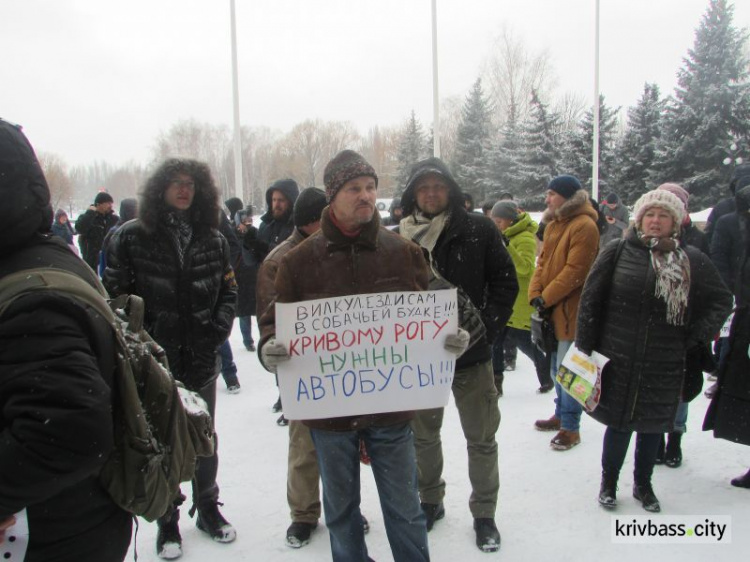 Маршрутки вместо собачьих будок: в Кривом Роге состоялась акция протеста против некачественных перевозок (фото)