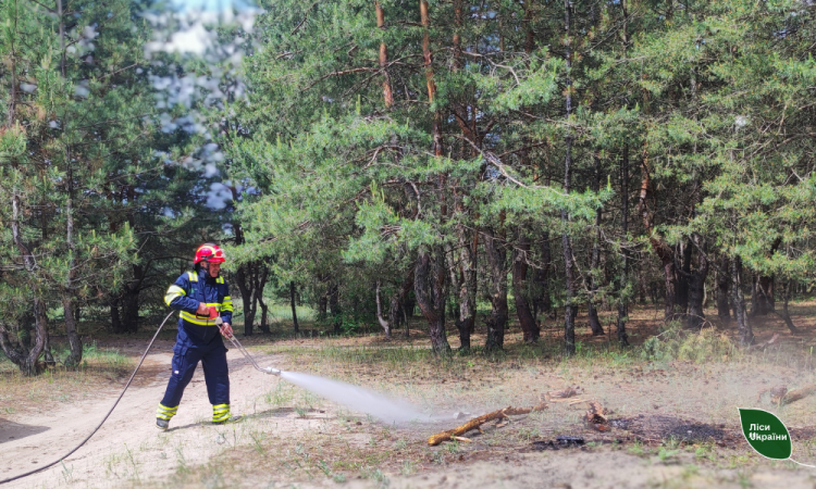 На Дніпропетровщині для захисту лісів від пожеж створюють мінералізовані смуги