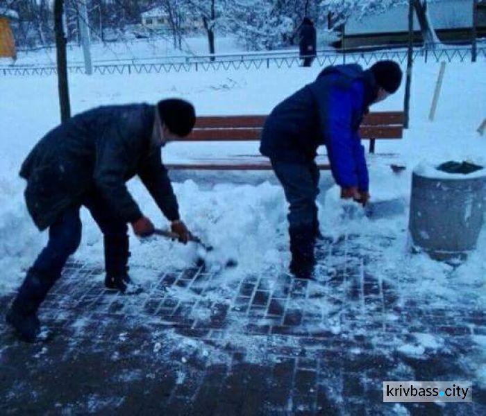 Внимание, циклон: инспекция по благоустройству в Кривом Роге напоминает о безопасности