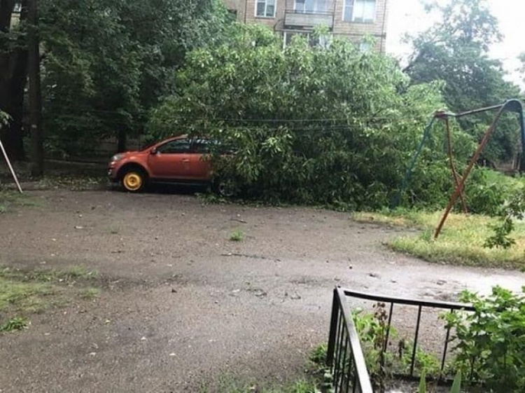 В Кривом Роге бушует стихия: улицы затоплены, деревья повалены (фотофакт)