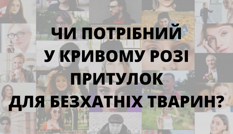 Чи потрібний у Кривому Розі притулок для безхатніх тварин (результати опитування)