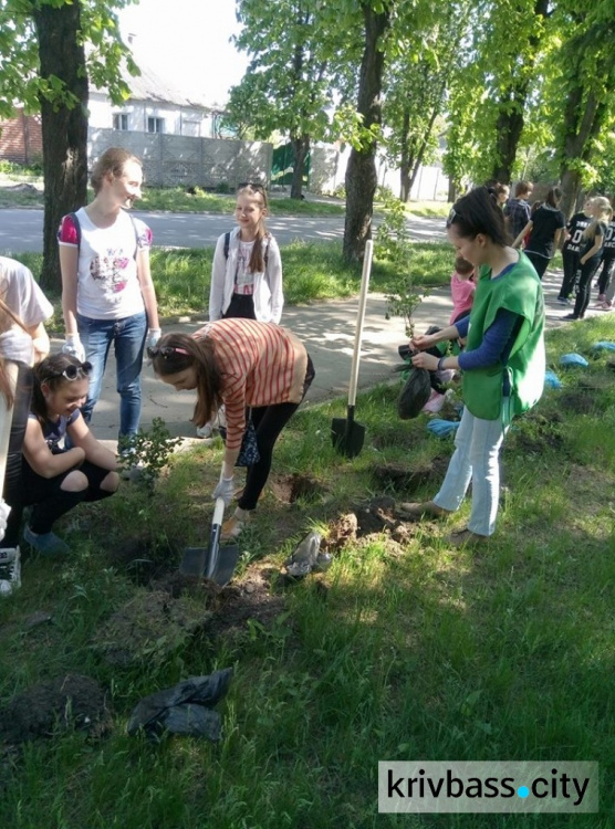 В Кривом Роге у дома творчества "Терноцвит" появились новые "зеленые" соседи (ФОТОРЕПОРТАЖ)