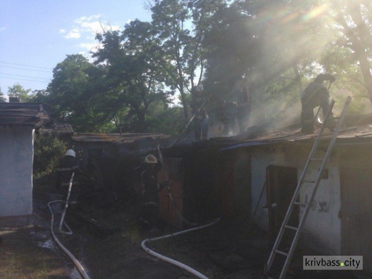 Пожар в Кривом Роге повредил сразу несколько сараев (ФОТО)