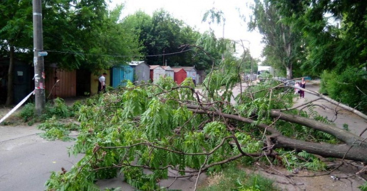 Спасатели Кривого Рога оказали помощь водителям, которые попали в ловушку на дороге (фото)