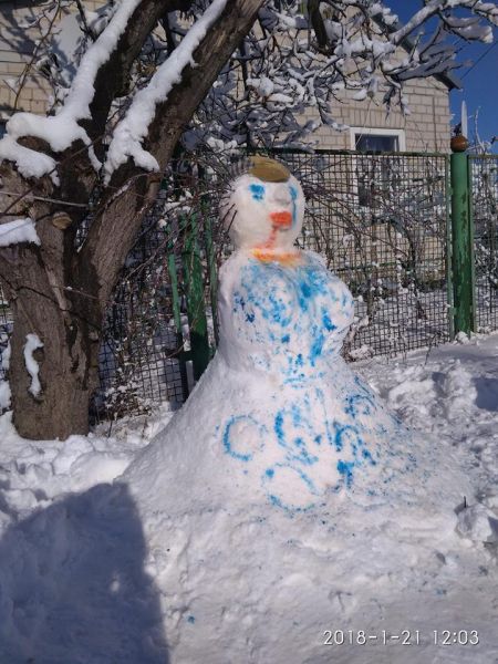 В Кривом Роге жители хвастаются, чей снеговик краше (фото)