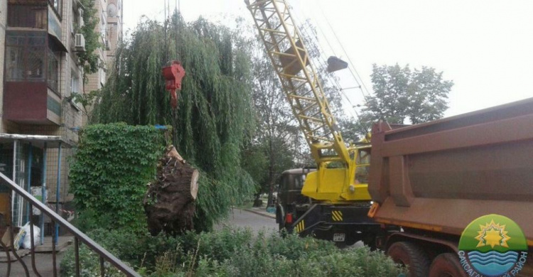 Фото пресс-службы Саксаганского райисполкома