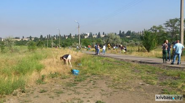 В Кривом Роге перешли от слов к делу: на Солнечном и Юбилейном вырывали амброзию (ФОТО)