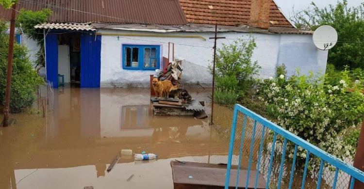 Под Кривым Рогом в затопленном посёлке ведутся работы по откачке воды в домах (фото)