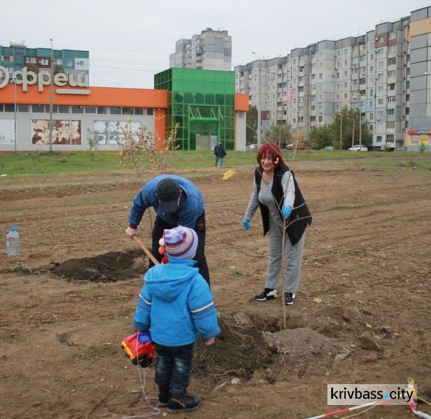 Жители микрорайонов Восточный-2,3 в Кривом Роге вышли на субботник (ФОТОРЕПОРТАЖ)