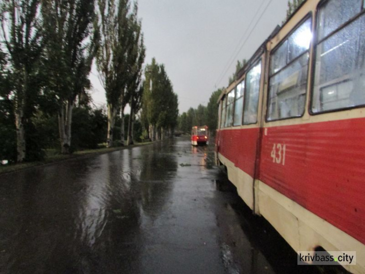 Кривой Рог приходит в себя после бури (фото)