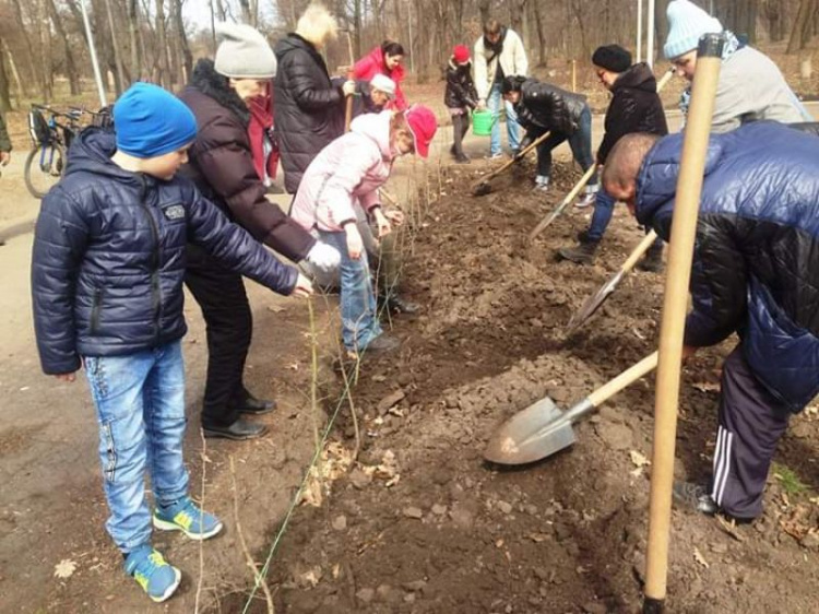 Криворожане высадили 200 кустов живой изгороди в городском парке (фото)