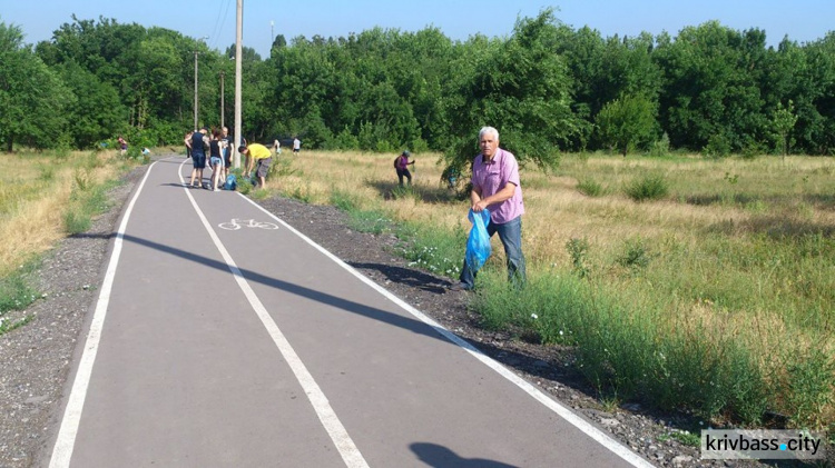 В Кривом Роге перешли от слов к делу: на Солнечном и Юбилейном вырывали амброзию (ФОТО)