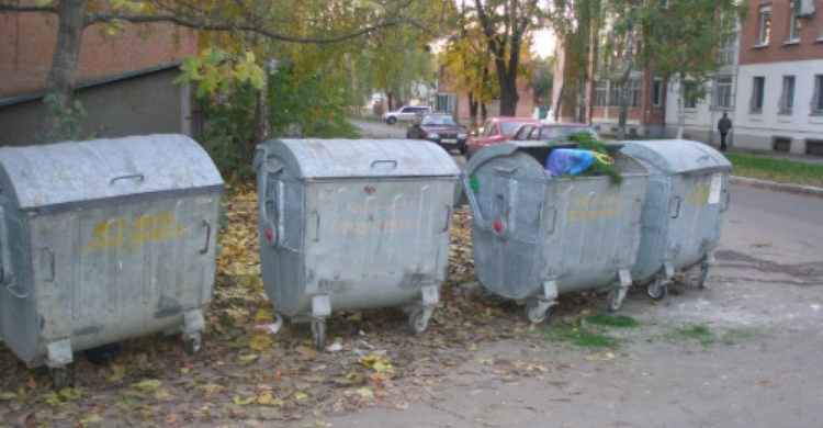 В Кривом Роге обнаружено животное со снятой шкурой (ВИДЕО 18+)