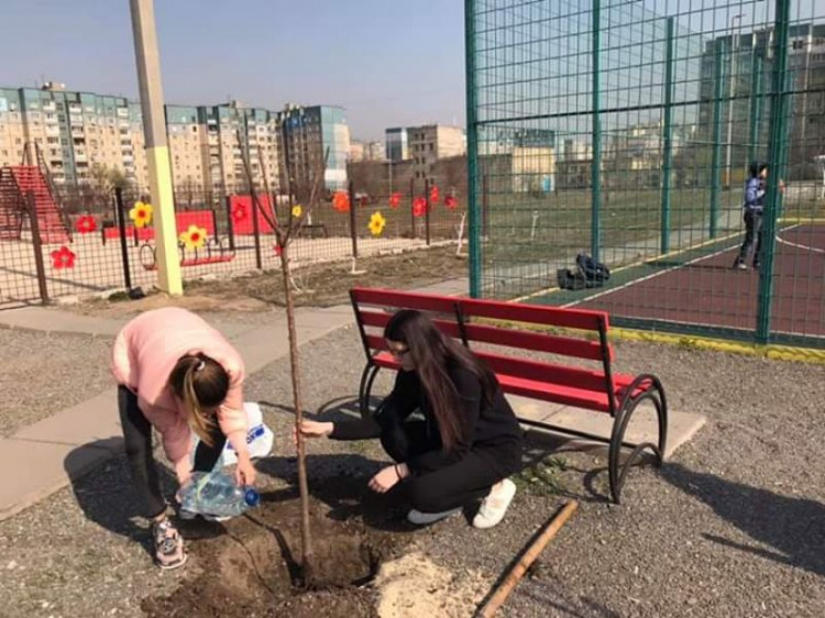 Новые скамейки, молоденькие деревца: в самом активном районе Кривого Рога продолжается благоустройство (фото)