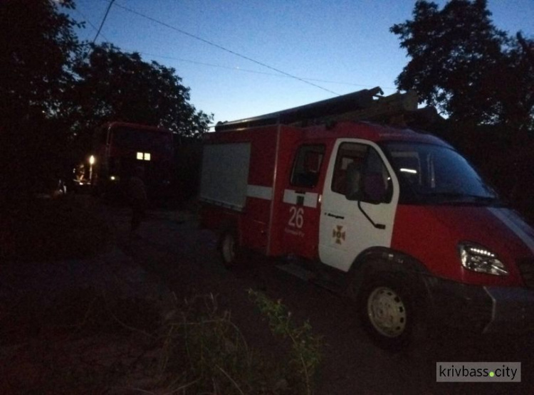 Огонь в Кривом Роге повредил несколько нежилых помещений (ФОТО)