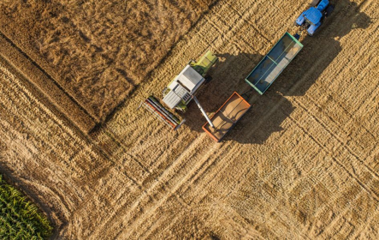 Фото з мережі інтернет 