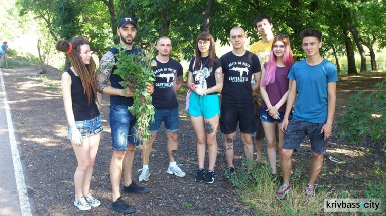 В Кривом Роге перешли от слов к делу: на Солнечном и Юбилейном вырывали амброзию (ФОТО)