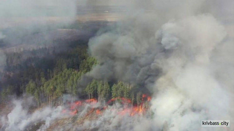 Фото із мережі Інтернет