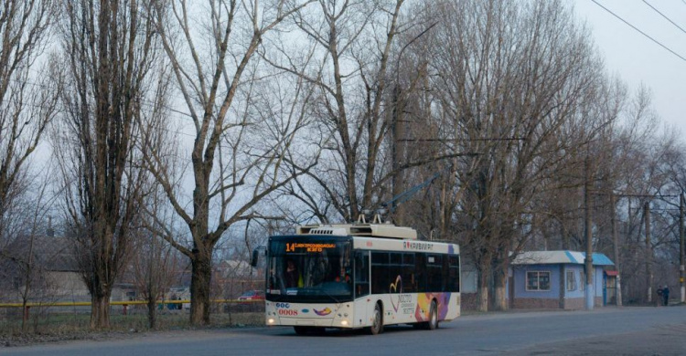 Фото з мережі Інтернет