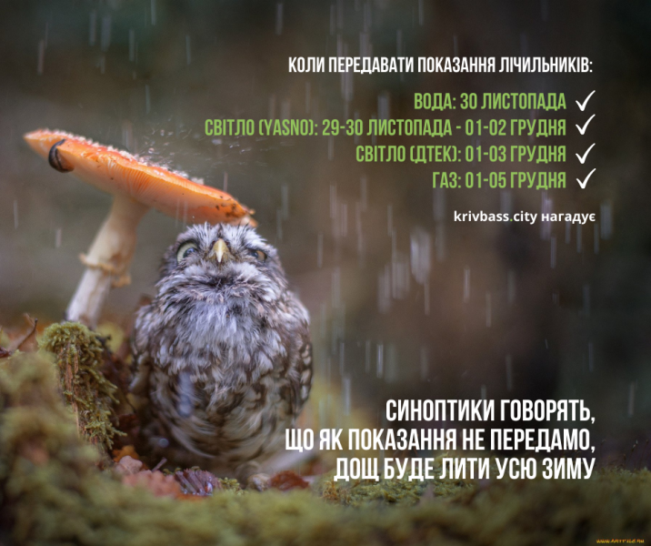 КОРИСНО: Як швидко та зручно передати показання лічильників води, світла та газу?