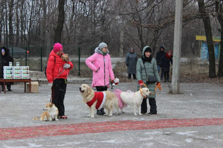 В Кривом Роге состоялся новогодний карнавал для собак (ФОТОРЕПОРТАЖ)